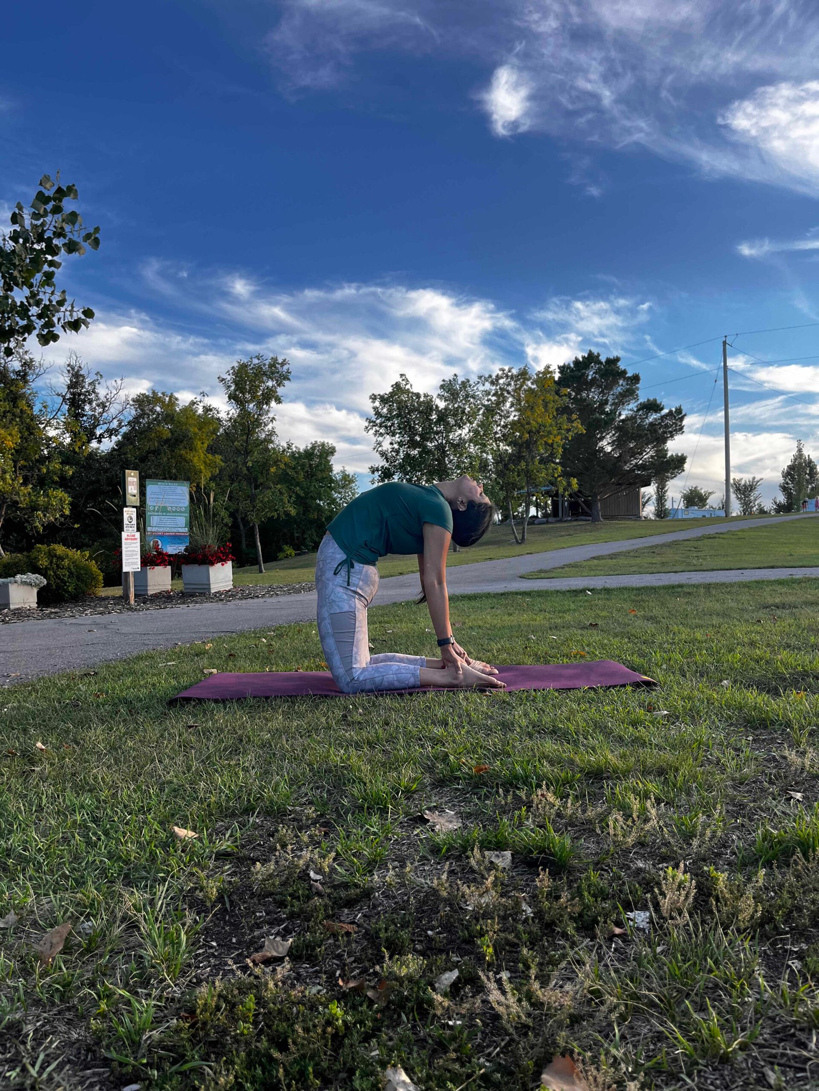 camel pose